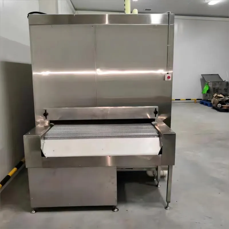 Initial Consultation